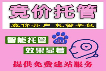 SEM公司成功案例：如何实现精准营销